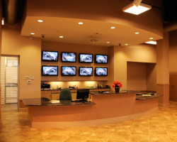 24-hour Camera Surveillance